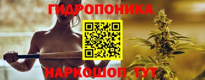 стафф Кинель