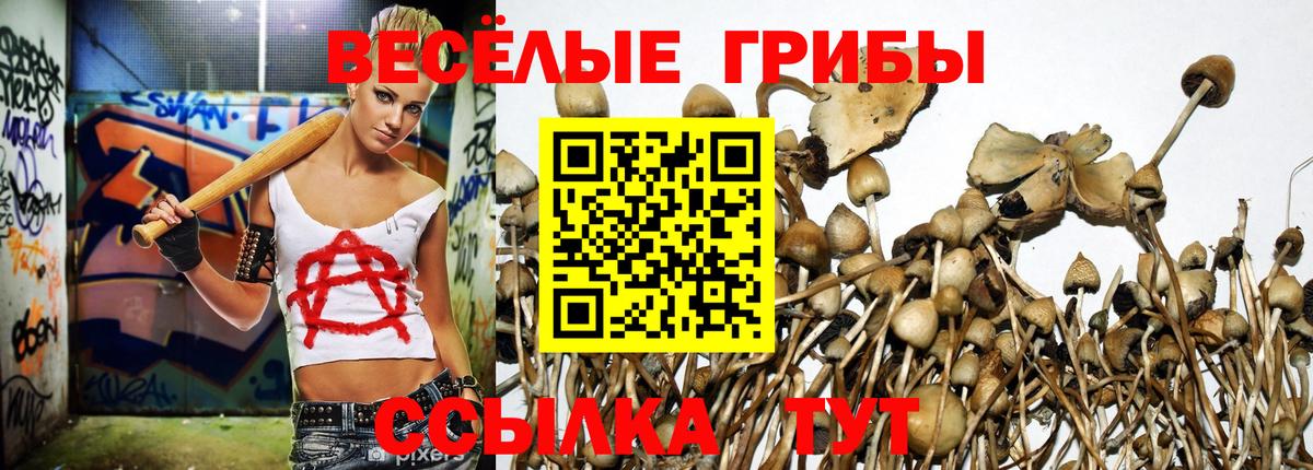 Галлюциногенные грибы мицелий  Вход с VPN  продажа наркотиков  Клинцы  Псилоцибиновые грибы мухоморы 