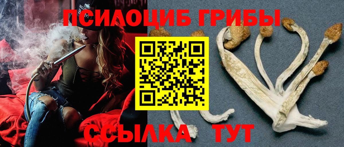 Псилоцибиновые грибы Magic Shrooms Клинцы